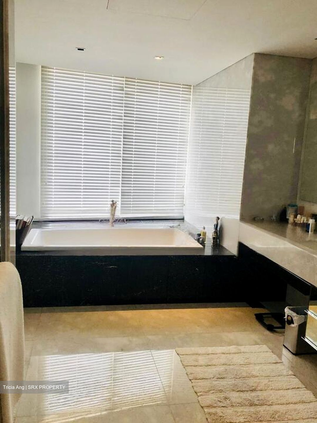 St. Regis Residences (D10), Apartment #468366401